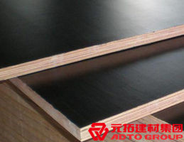 木模板的材料有哪些？各自有什么特點(diǎn)？